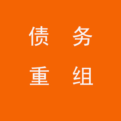 珠晖个人债务重组优化